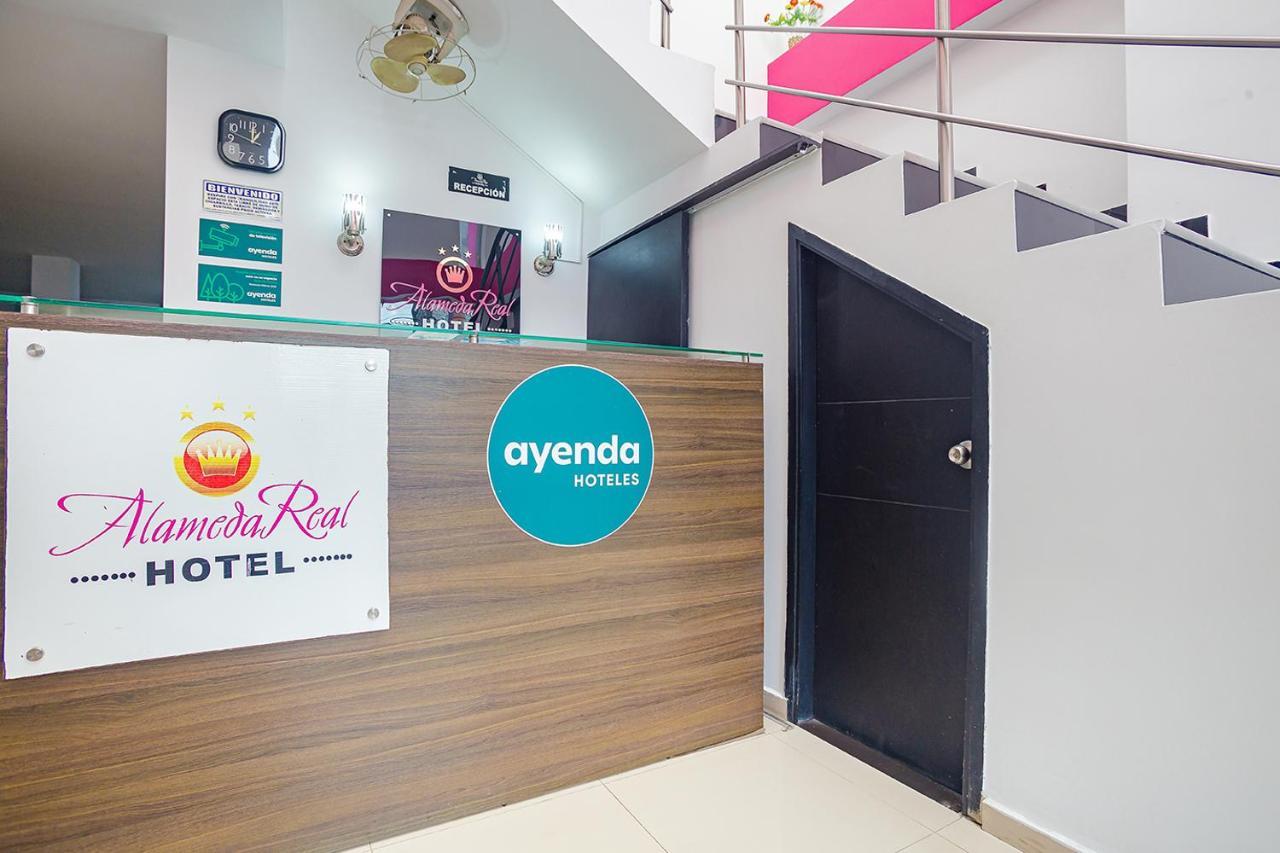ホテル Ayenda Alameda Real Montería エクステリア 写真